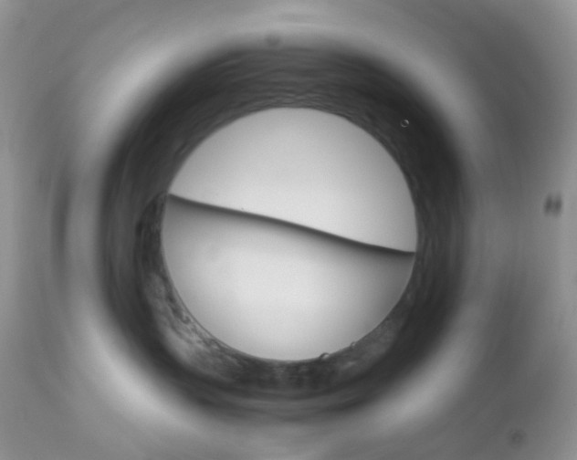 X0000113110383200908281023