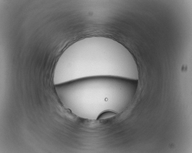 X0000113110384200908281023