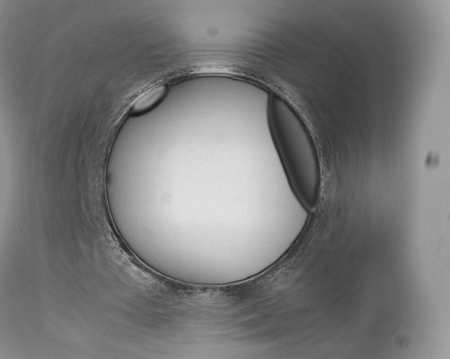 X0000113110385200908281023