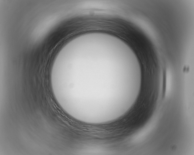 X0000113110387200908281023