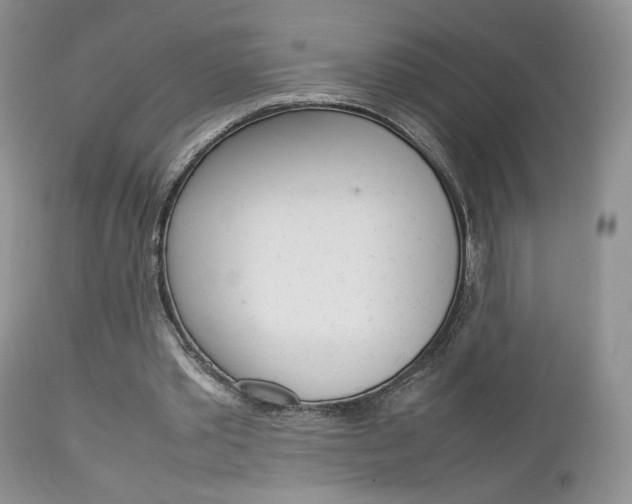X0000113110389200908281023