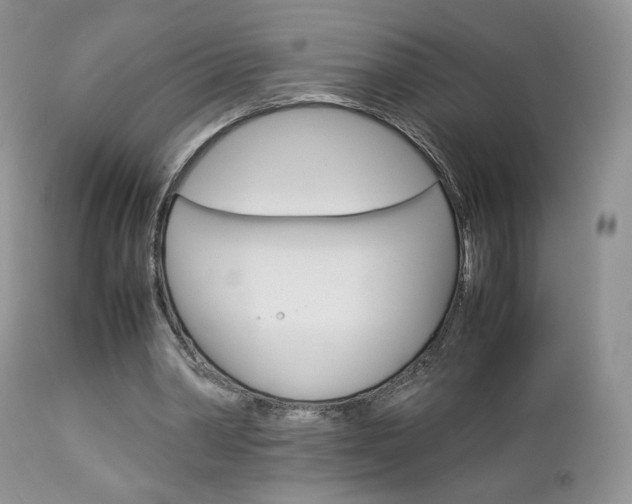 X0000113110390200908281023