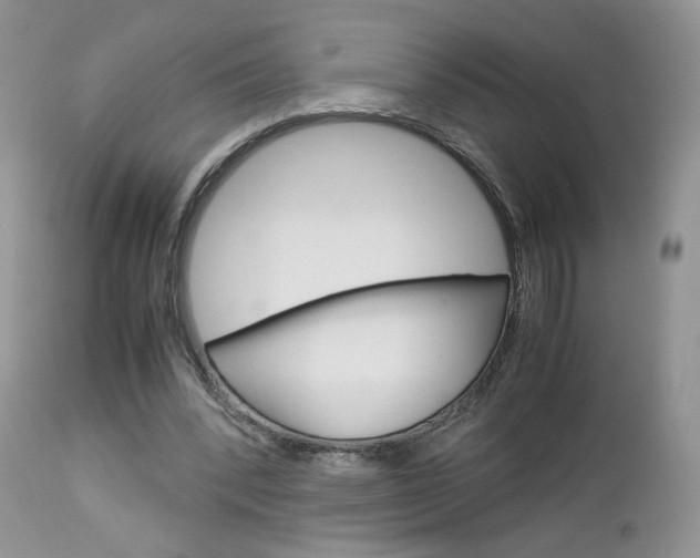 X0000113110392200908281023