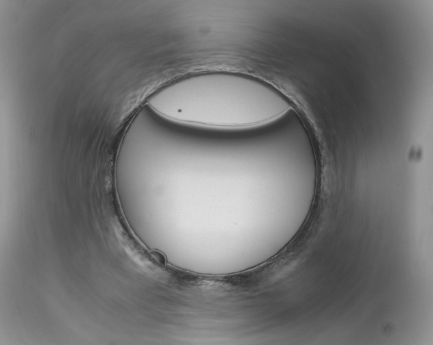 X0000113110393200908281023