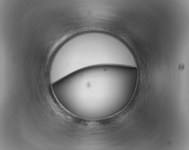 X0000113110395200908281023