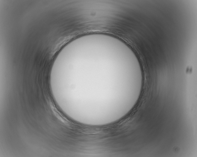 X0000113110397200908281023