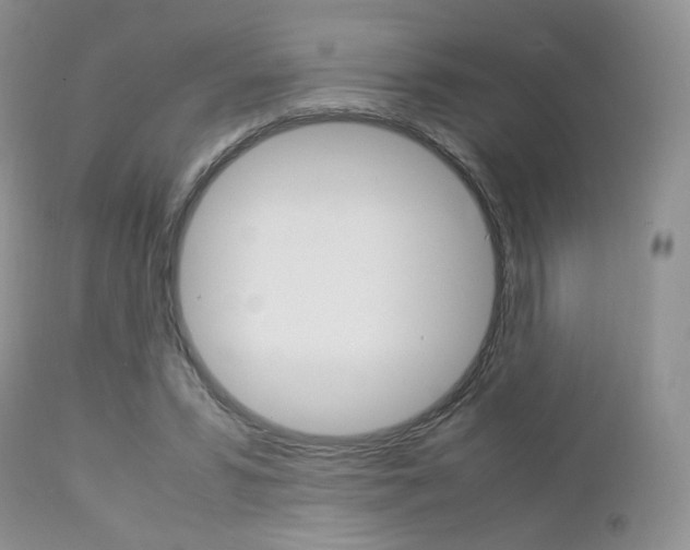 X0000113110399200908281023