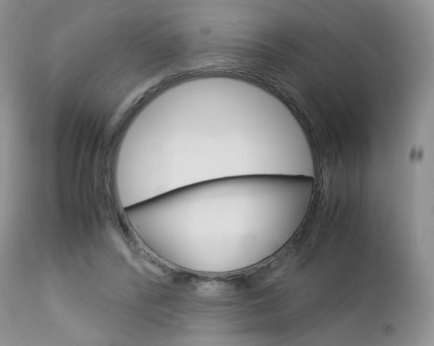 X0000113110400200908281023