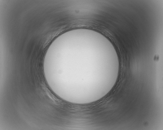 X0000113110401200908281023