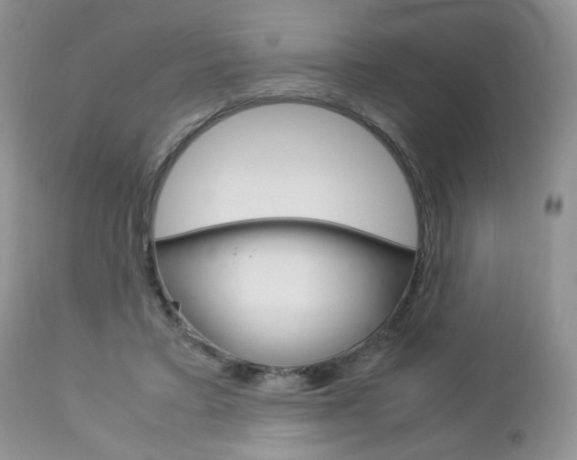 X0000113110403200908281022