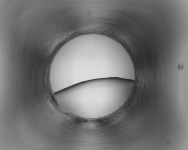 X0000113110404200908281022