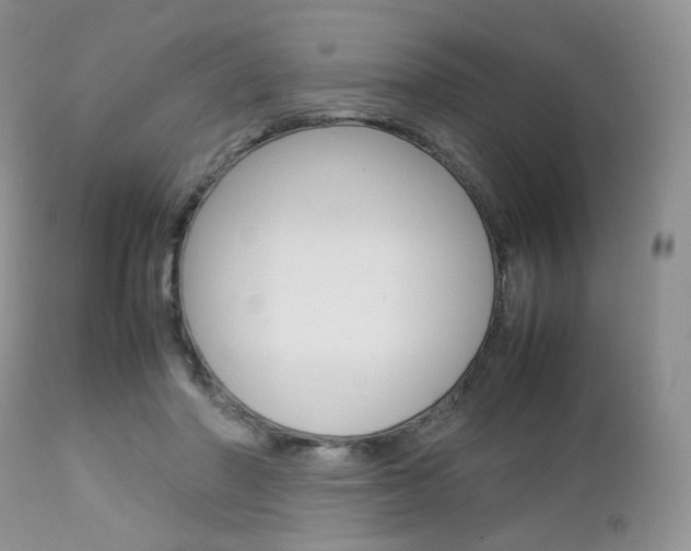X0000113110406200908281022