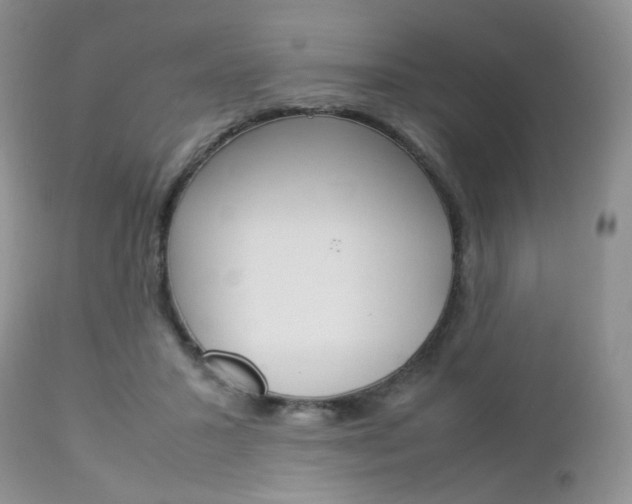 X0000113110407200908281022