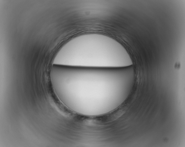 X0000113110408200908281022