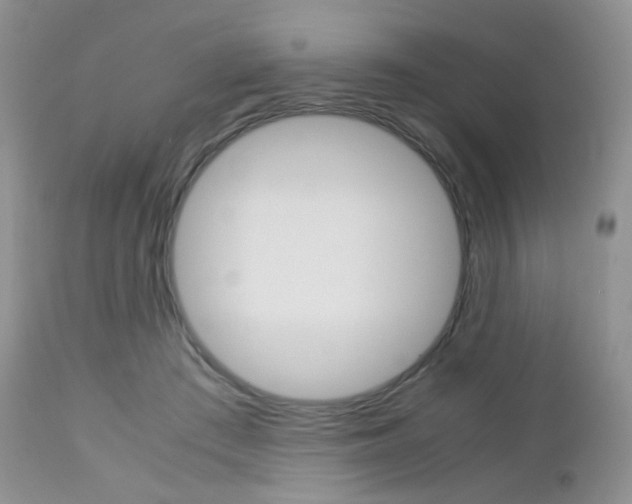 X0000113110409200908281022