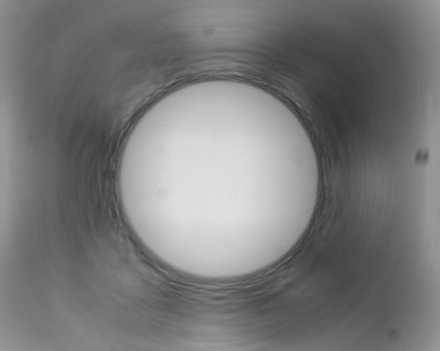 X0000113110411200908281022