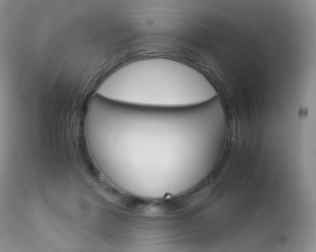 X0000113110412200908281022