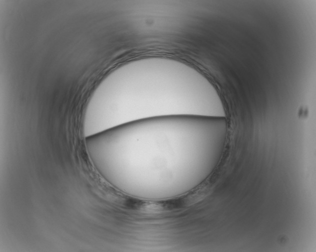X0000113110413200908281022
