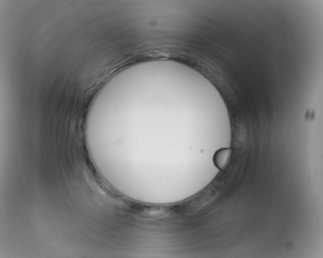 X0000113110414200908281022