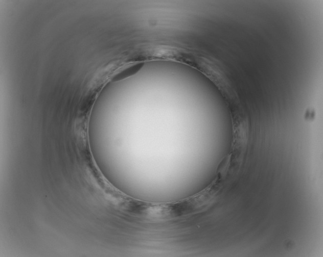 X0000113110415200908281022