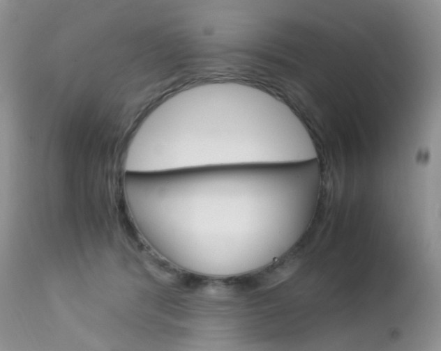 X0000113110416200908281022