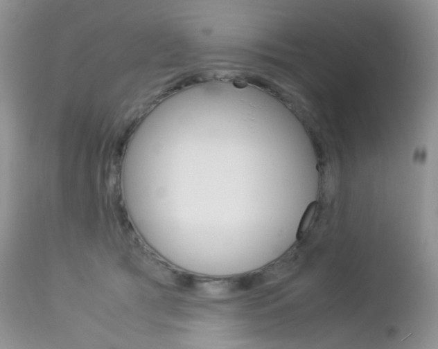 X0000113110417200908281022