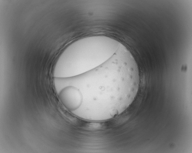 X0000113110418200908281022