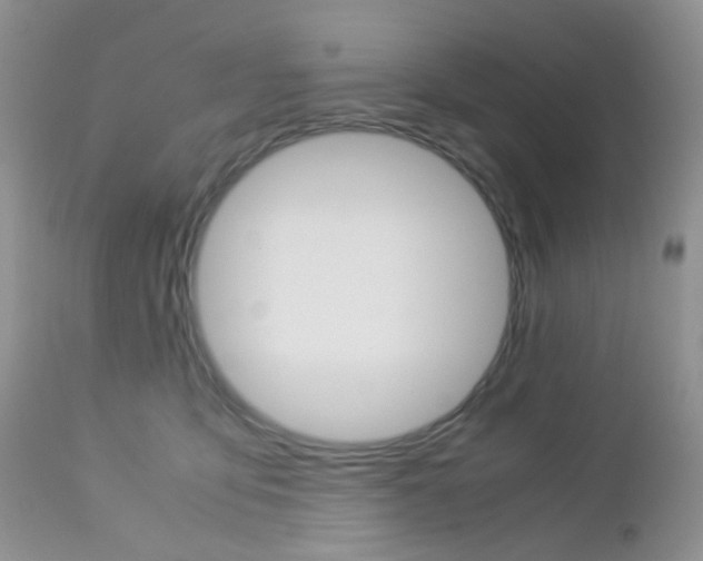 X0000113110419200908281022