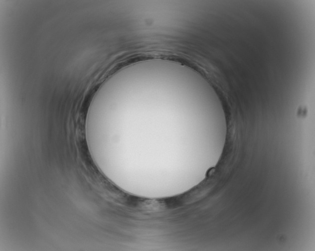 X0000113110421200908281022
