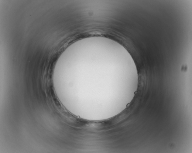 X0000113110422200908281022