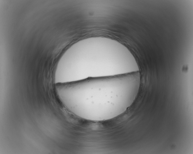 X0000113110424200908281022