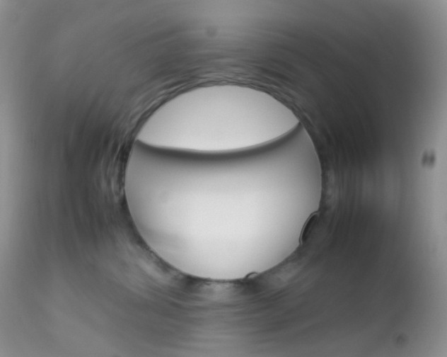 X0000113110428200908281022