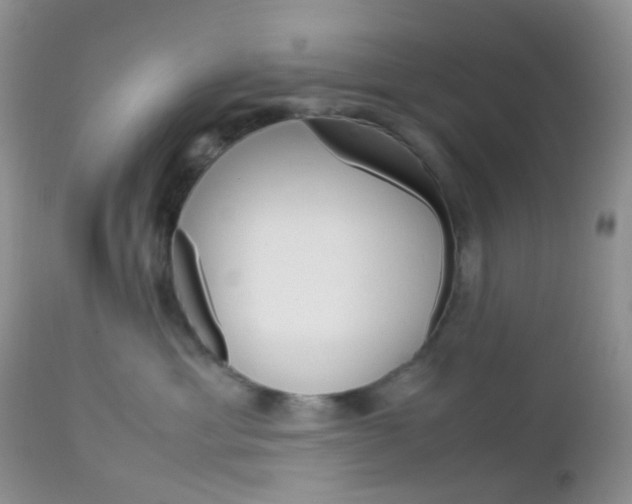 X0000113110429200908281022