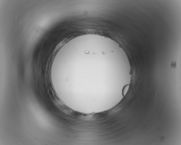 X0000113110430200908281022