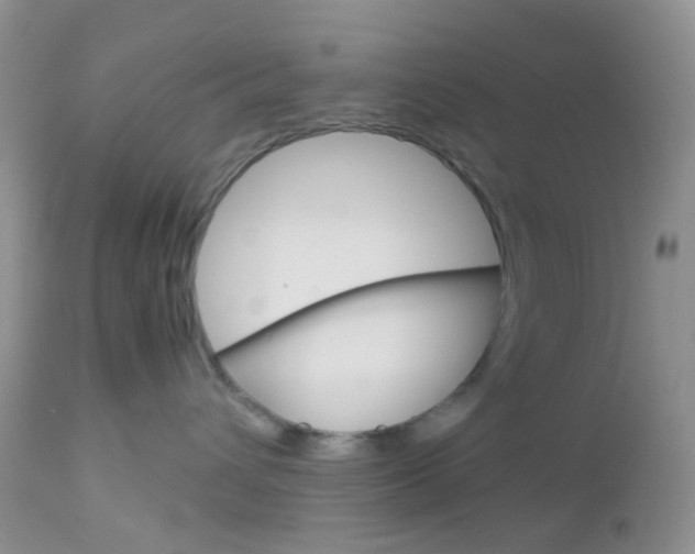 X0000113110432200908281022