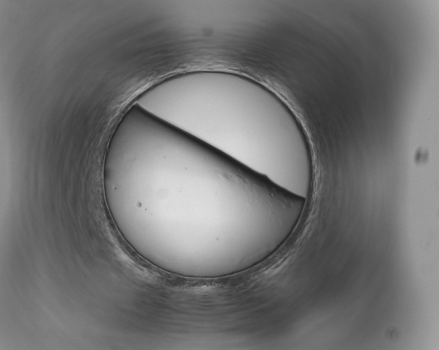 X0000113110433200908281021