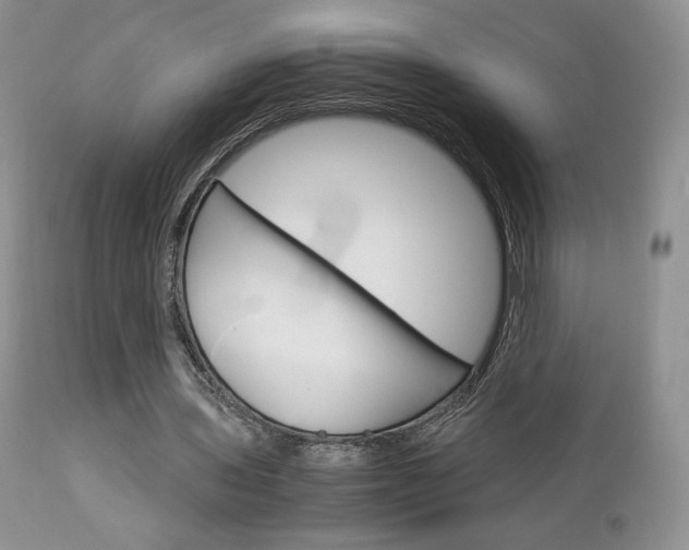 X0000113110435200908281021