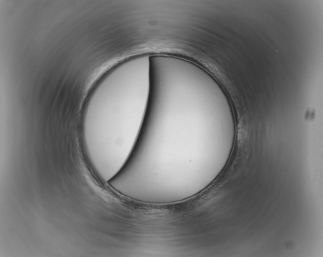 X0000113110438200908281022