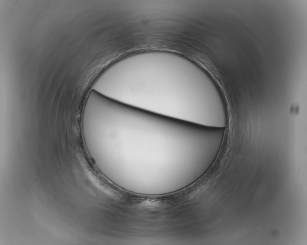 X0000113110441200908281022