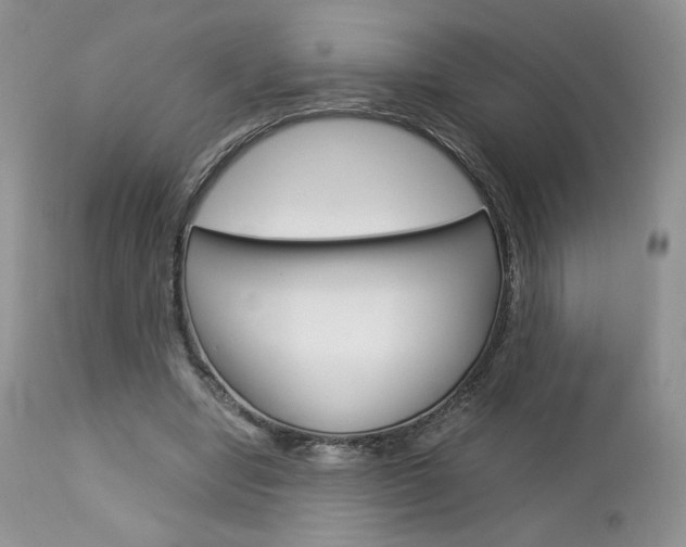 X0000113110442200908281022