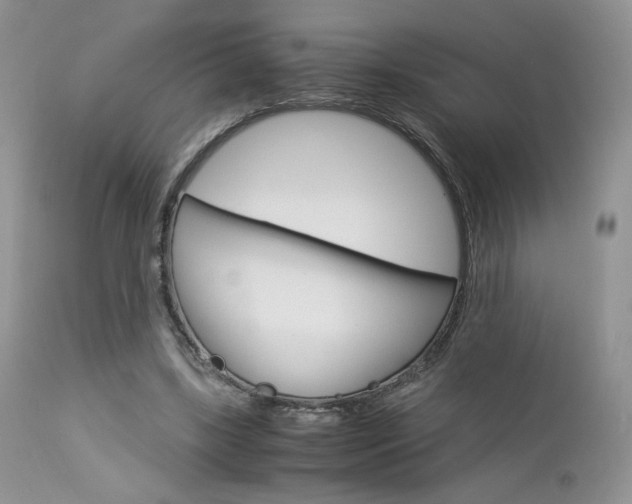X0000113110443200908281022