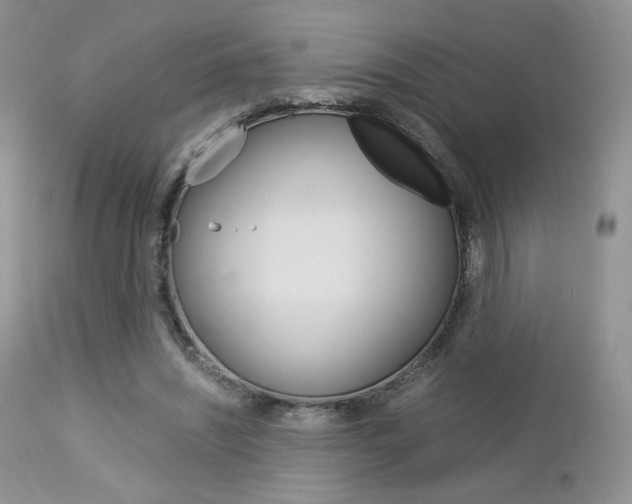 X0000113110444200908281022