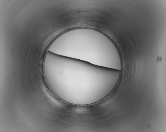 X0000113110445200908281022