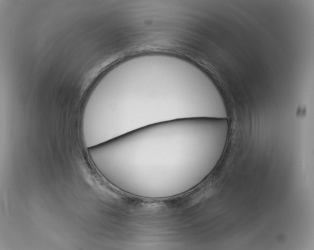 X0000113110446200908281022