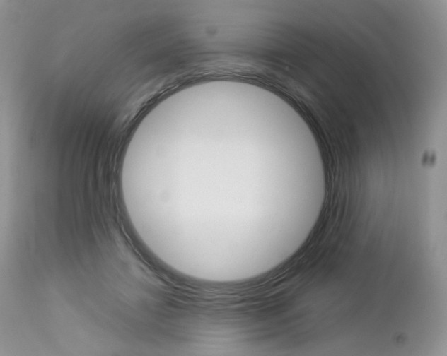 X0000113110452200908281022