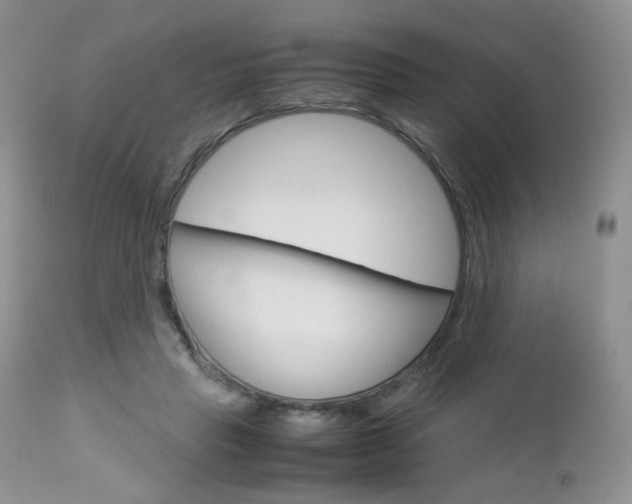 X0000113110453200908281022
