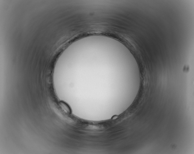 X0000113110455200908281022
