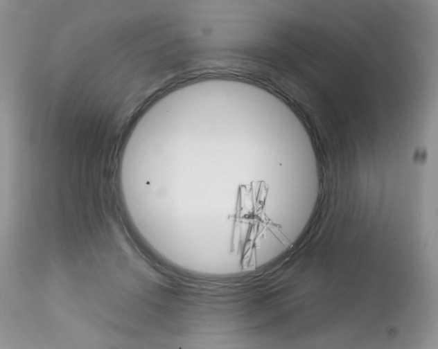 X0000113110456200908281022