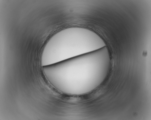 X0000113110458200908281022