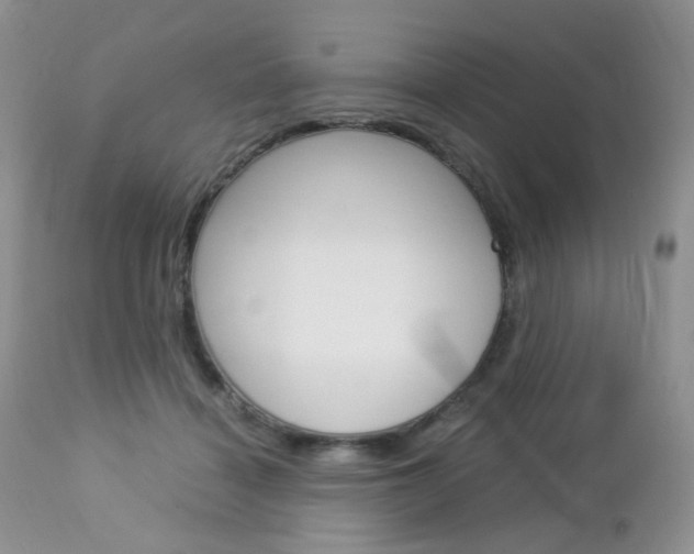 X0000113110460200908281022